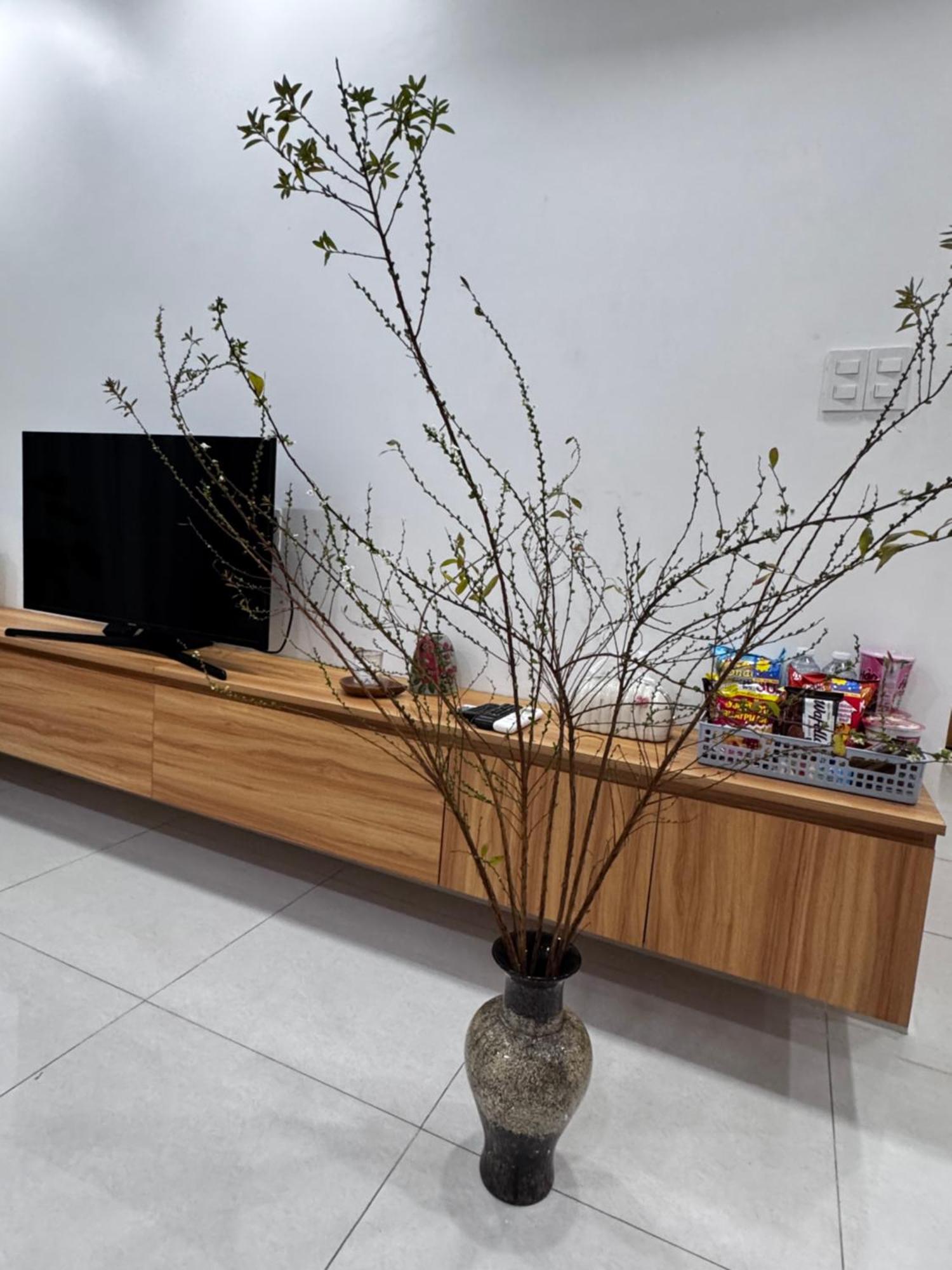 Lavida Plus, Ho 2 Phong Ngu, Quan 7
